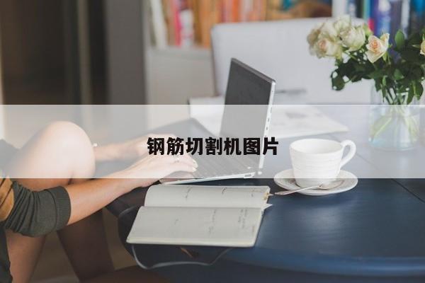 钢筋切割机图片