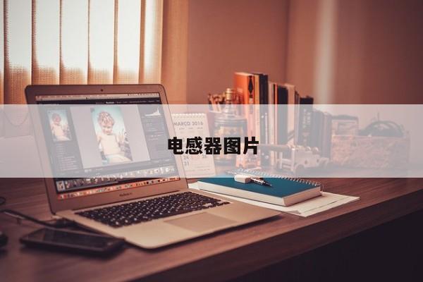 电感器图片